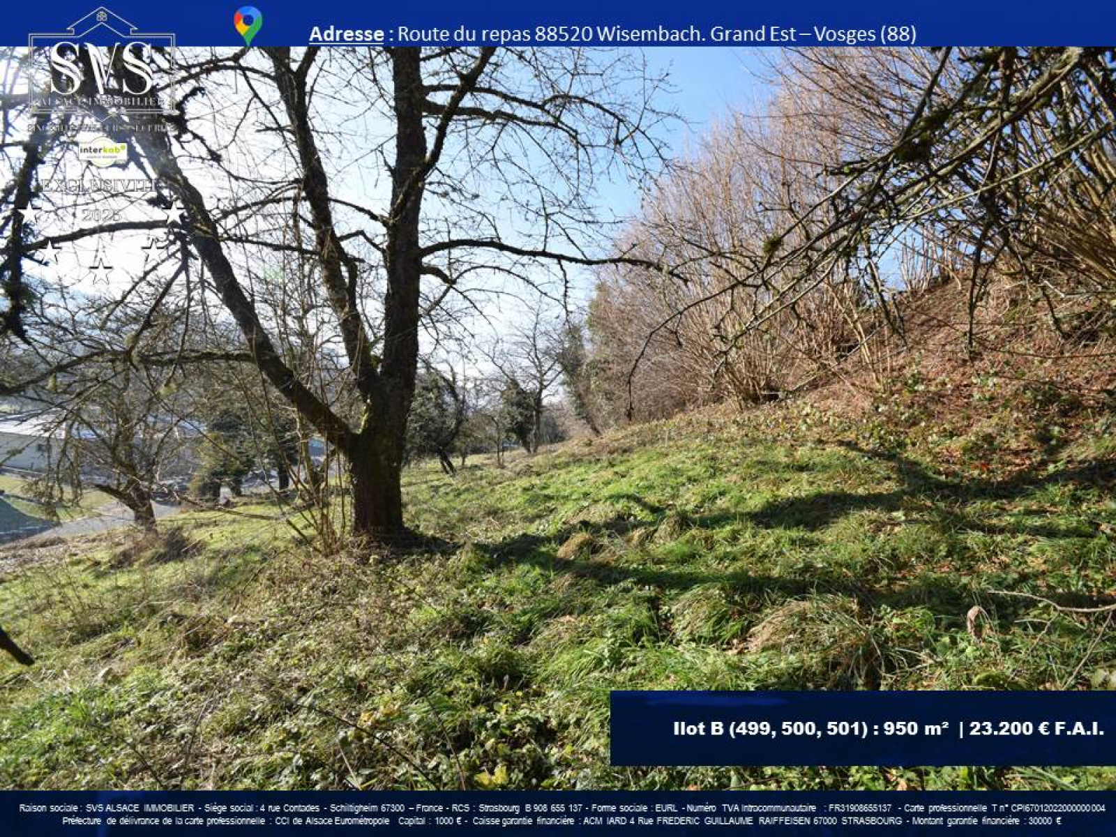 Image_6, Terrain, Wisembach, ref :WISEMBACH - 20251001