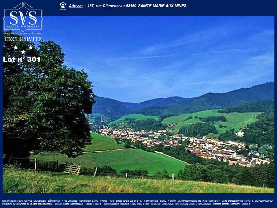 Agence immobilière de SVS Alsace Immobilier