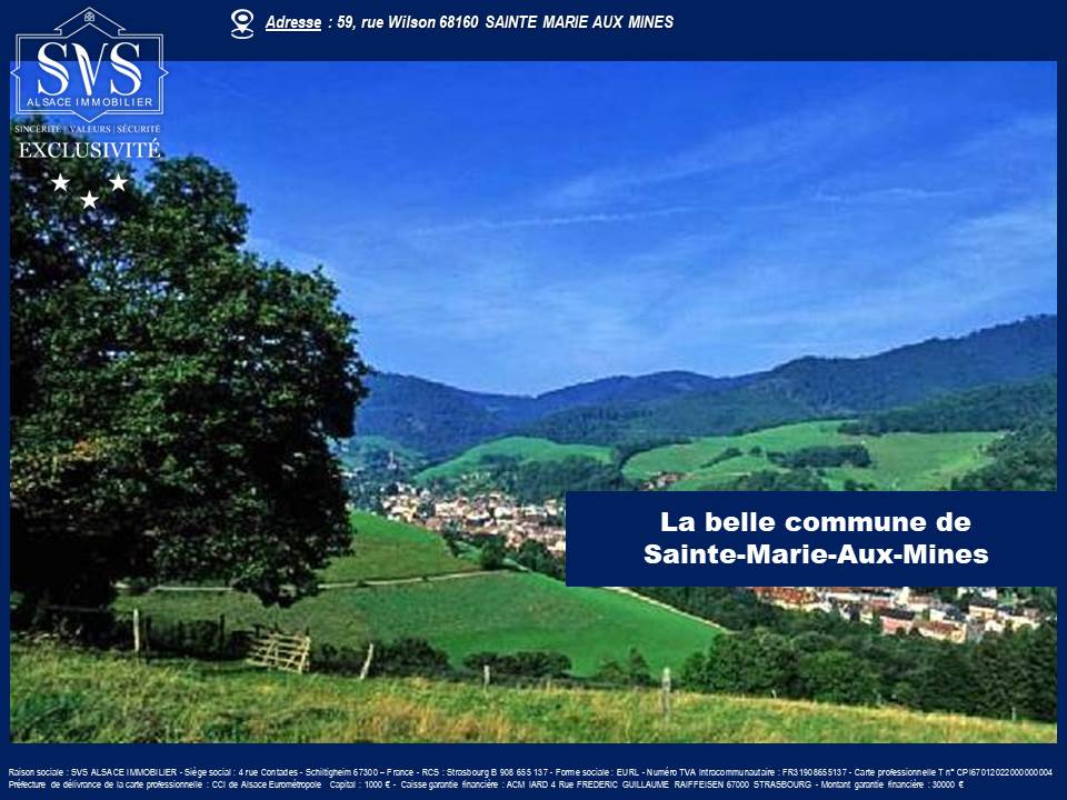 Agence immobilière de SVS Alsace Immobilier